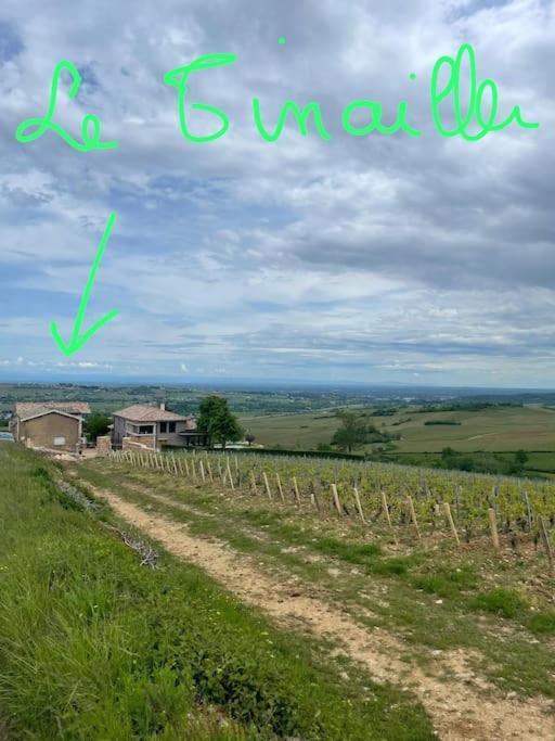 Villa Le Tinailler Grand Standing Au Coeur Des Vignes Prissé Exterior foto