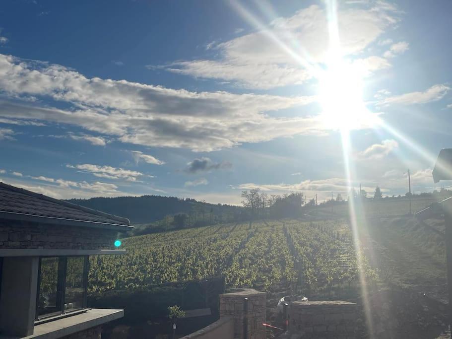 Villa Le Tinailler Grand Standing Au Coeur Des Vignes Prissé Exterior foto